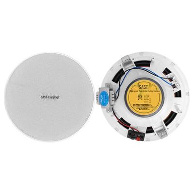 YS4-8 8-Inch Coaxial Ceiling Speaker CN Plug (adapter Included)