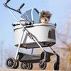 Îmbrăcăminte și încălțăminte – Accesorii pentru câini