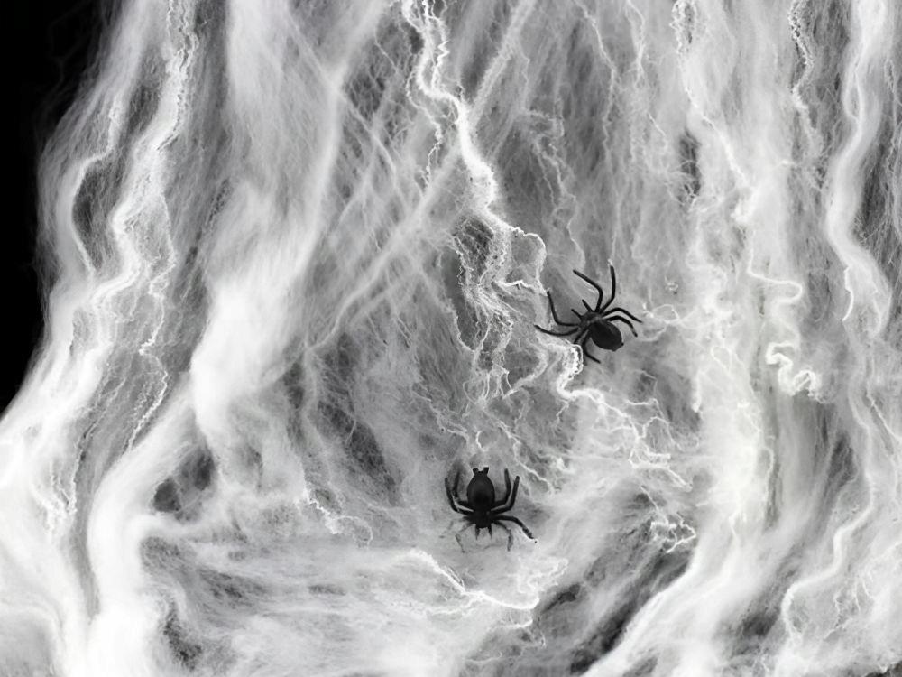 Spiderweb 40G 4 Spiders (300) Gab_A