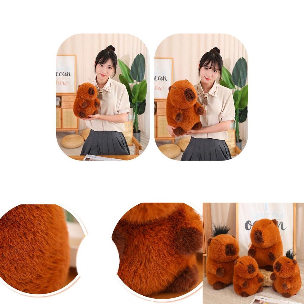 Capybara Rodent Plush Toy Cute And Soft Stuffed Animal 25cm/35cm