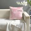 Hot Selling Highend Printing Pillow Case Natural Linen Organic Fabric DoubleSided Printing Sofa Home Decor Cushion Cover