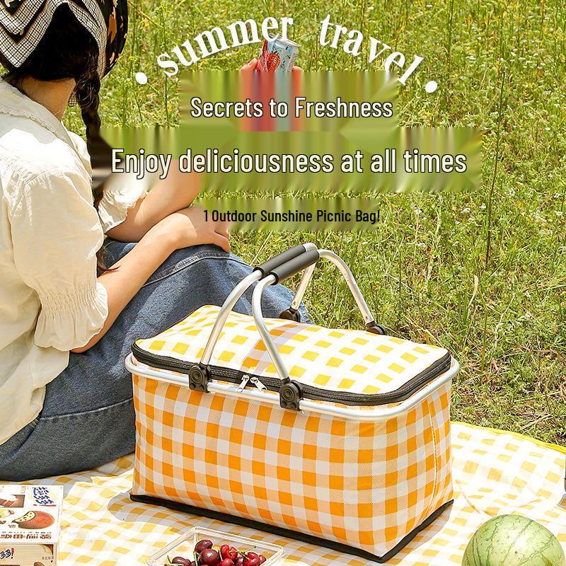 Foldable Insulated Picnic Cooler Bag
