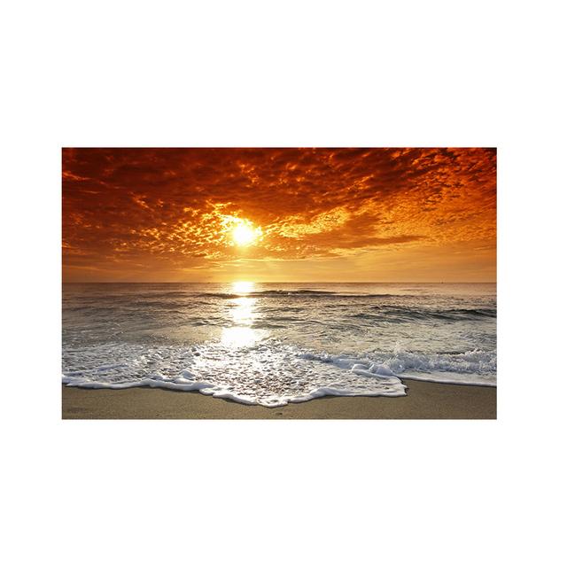 Starfish And The Beach Canvas Painting Bedroom Decor Modern Wall Art Living Room No Frame Picture Home Decor