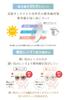 Beautiful Skin Sunglasses for UV Clear Melanin Light Gift for BT5874 GR [Fujita Optical] Women, Protection, Lens, Boston, Glasses, Brand, Stylish,