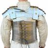 ROMAN LORICA SEGMENTATA BREASTPLATE ARMOR