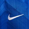Nike Dri Fit T Shirt SS25 Children Aged 3 7 Years Old HJ5285-496