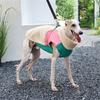 Dog Winter Apparel Furry Vest for Dogs Boy Girl Medium Dogs for Indoor and Outdoor Use Thick Coat Clothes Outfit for Pet