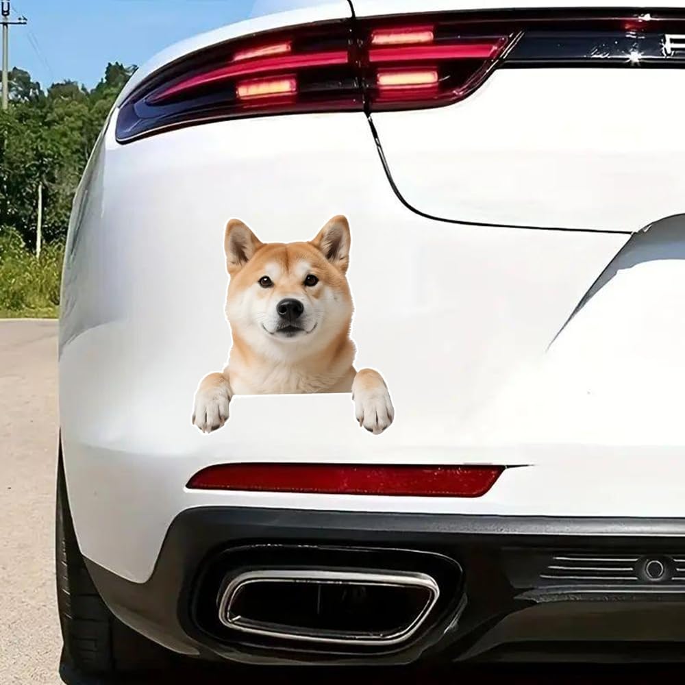 2 kusy 12x13cm Shiba Inu 2D plochá vinylová nálepka - Roztomilý Roztomilý Roztomilý pes