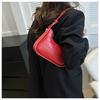 Trendy Korean Style Shoulder Bag For Women 2024 Winter New Stone Pattern