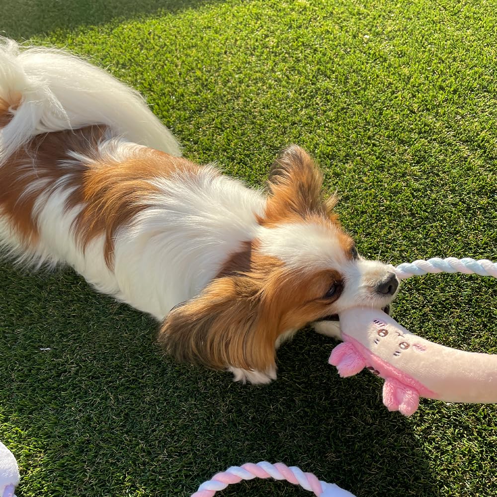 shobido Shobido Chikawa Rope Toy Dog Rope Dog Toy Chew Toy Pet Toy (Flying Squirrel)