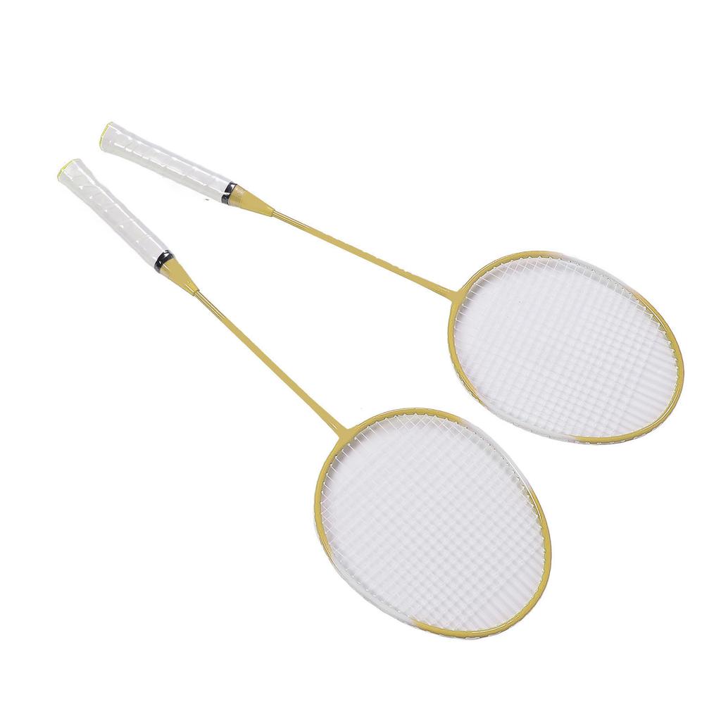 2 Player Badminton Set Low Vibration Strong Elasticity Iron Alloy Badminton Rackets Set with 3 Nylon Shuttlecocks Carry