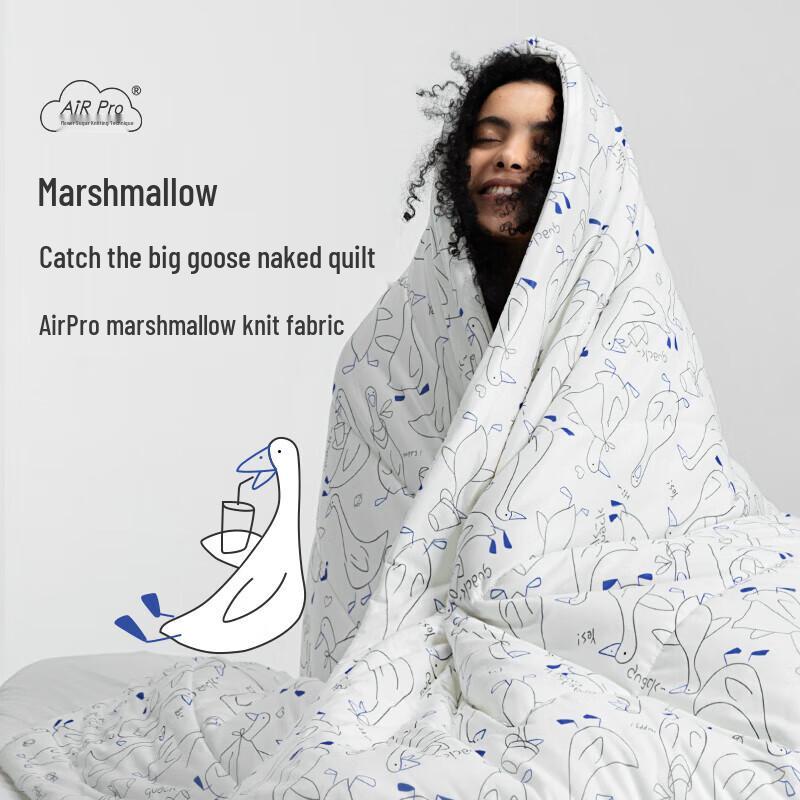 

HWM Disney Grab Big Goose 2.0 Cooling Summer Quilt