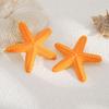 Choker Starfish Earrings Stud Colorful Beach Jewelry Set Vintage Star Necklace  Girls