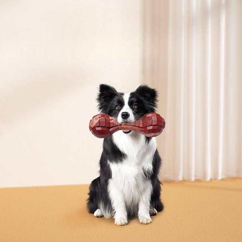 Nylon Gezacktes Knochen Beißspielzeug für Hunde, das nicht kaputt geht, Interaktives Training zur Energiefreisetzung, Zahnreinigendes Mittelgroßes Hundespielzeug