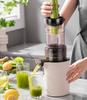 220V Spremiagrumi Elettrico Lento Domestico Automatico Grande Calibro Spremiagrumi Originale Separazione Succo Residui Spremiagrumi Frutta