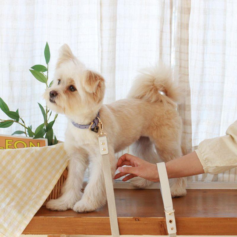 MAISON DE MIU Running Mate Leather&Webbing Lead_White/Ivory