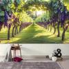 2D Vineyard Backdrop for Wine Tasting and Harvest Festival Photograph