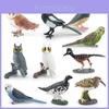 Realistic Pvc Bird Model Collection Featuring Colorful Parrots Owls And Magpies For Home Decor