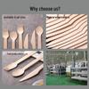 Eco-friendly Disposable Wooden Spoons