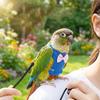 Breathable Parrot Flying Harness Safety Parrot Flight Suit Parrot Vest  Outdoor Training