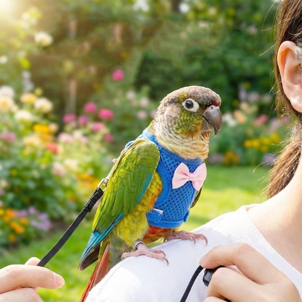 Adjustable Parrot Flying Harness Breathable Parrot Vest Practical Bird Training Rope  Budgie