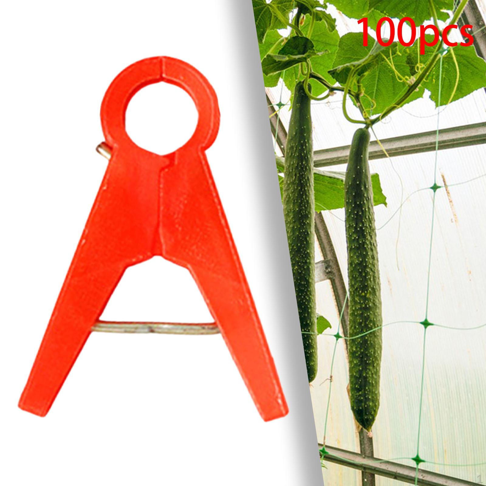 

100 шт. зажимы для садовых растений, зажим для цветов, многоразовая опора для скалолазания красный