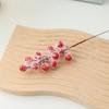 Fem Dekorativa Grenar Med Frostat Rött Frukt, Sticklingar För Juldekoration, 5st, set,