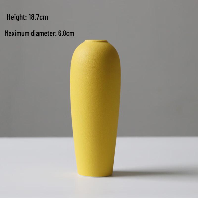 Shangqi Ceramic Minimalist Decorative Vase - Large 2-Pack