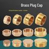 Brass Hexagon Threaded Pipe Plug