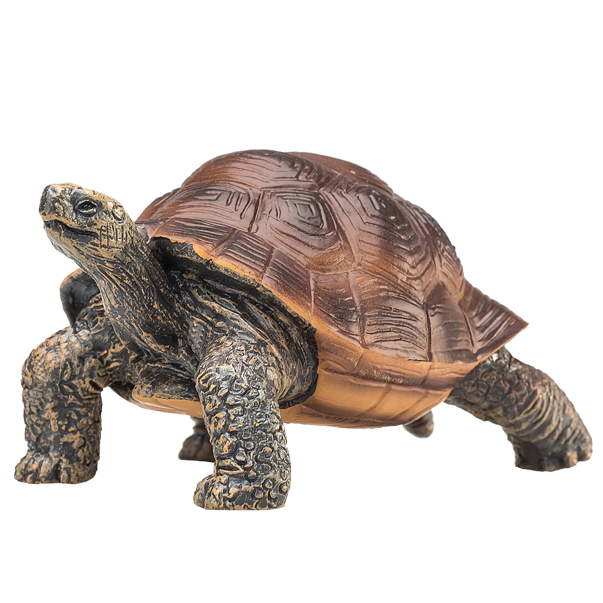 

Mojo Tortoise Figure 387259