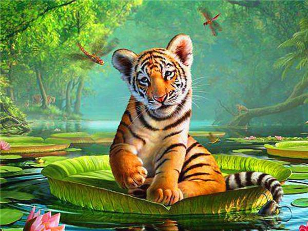 5d Diamond Painting Pes DIY Mozaika Zvíře Plný Kulatý Čtverec Diamantové vyšívání Křížkový steh Kamínky Obrázky Nástěnné umění