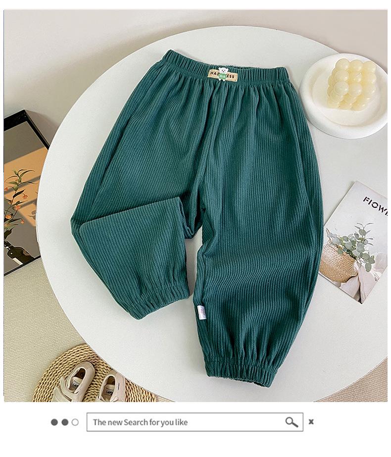 

Детские флисовые спортивные штаны в корейском стиле - Спортивная повседневная одежда 100 cm зелёный