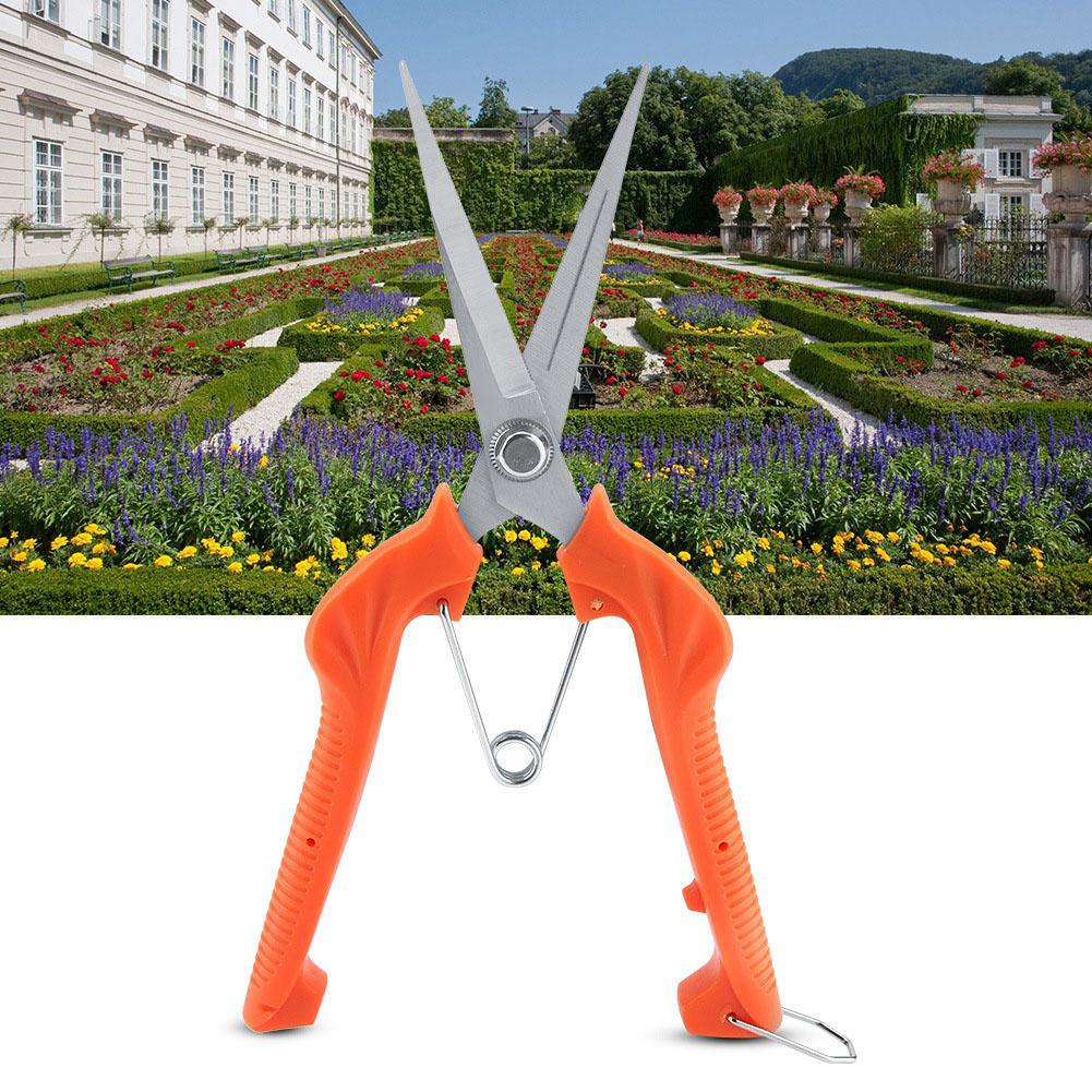 Orange Sturdy Fruit Tree Bonsai Gardening Pruning Shear Lengthened Garden Scissors