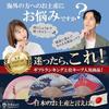 Souvenirs from Japan That Foreigners Will Love Folding Fan Traditional Patterns Thirty-Six Views Mount Fuji (Kaifū Kaisei)