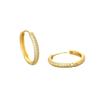 Elegant Micro-Pave Circle Earrings 2024: Trendy Niche Design, Simple Ear Cuff, Light Luxury High-End Style.