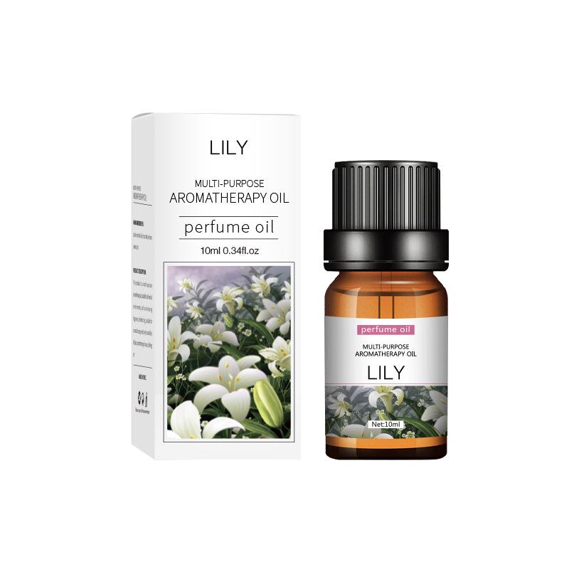 Water-Soluble Aromatherapy Essential Oil Car Diffuser and Humidifier 10ml