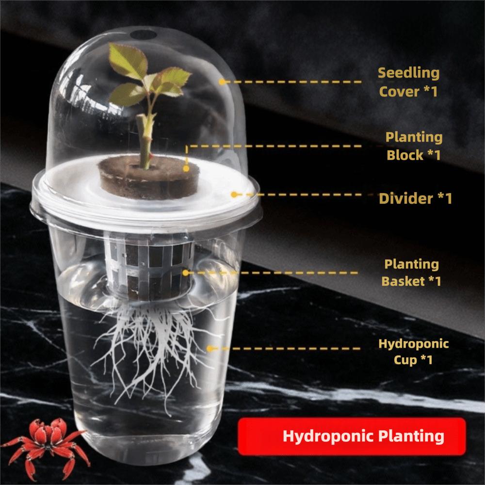 1-5pc Visible Clear Plants Germination Cup Hydroponic Seed Planter Pots Reusable Durable Seed Starter Tray Plastic View Cups