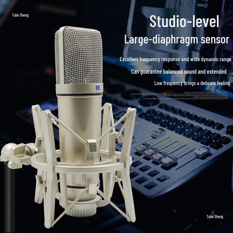 U87 Large Diaphragm 48V Condenser Microphone for Recording, Conferences, Singing, and Live Broadcasts - All-Metal Design