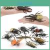 Insect Animal Model Pvc Collection For Educational Display And Collection Enthusiasts