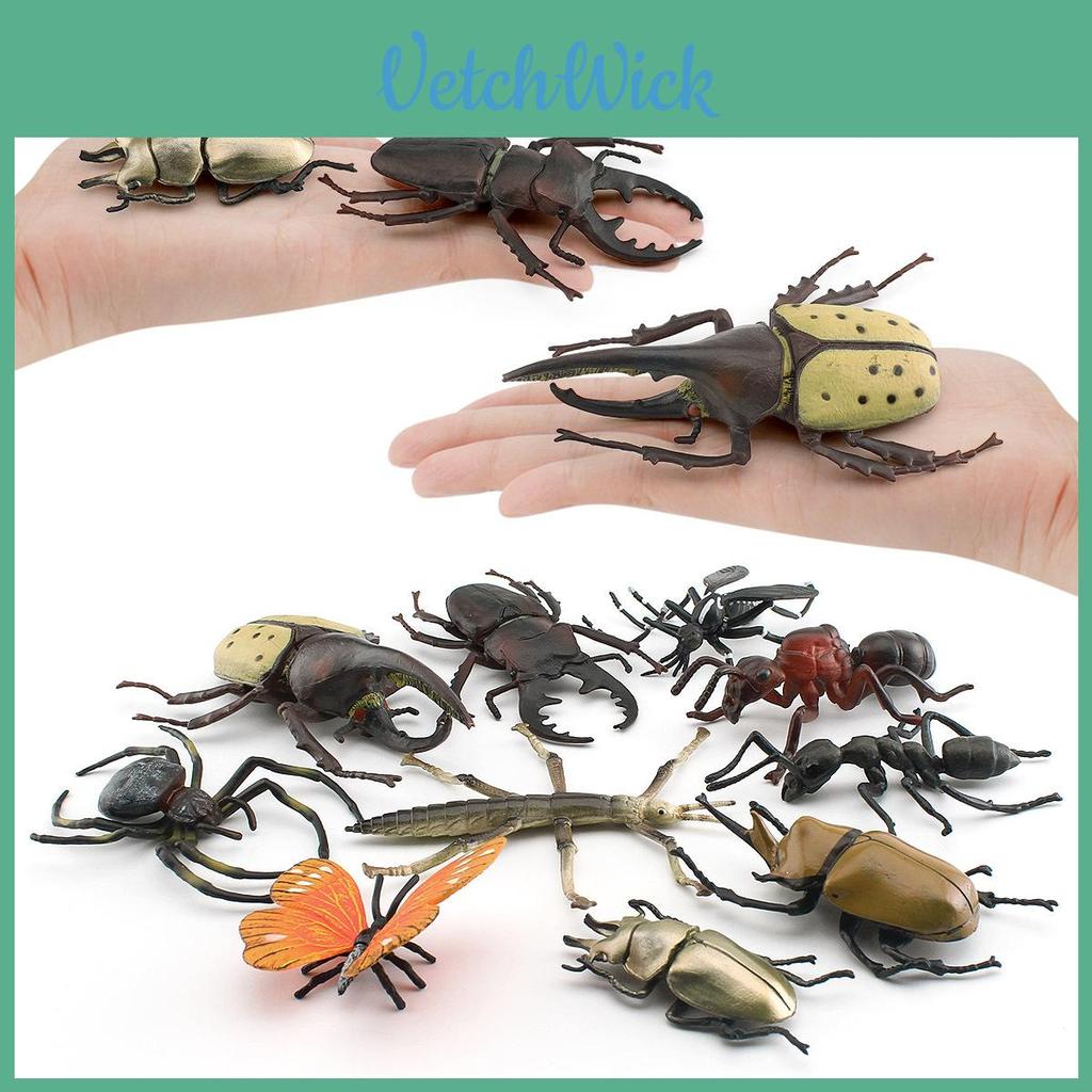 Insect Animal Model Pvc Collection For Educational Display And Collection Enthusiasts