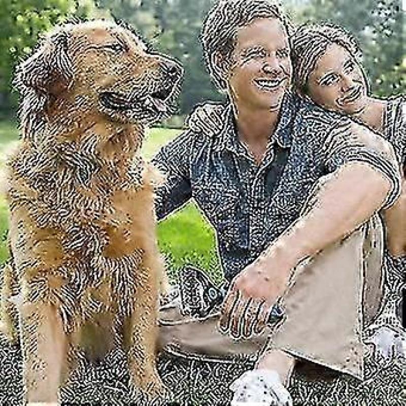 Pet Grooming Brush, Professional Dematting Comb For Dogs Cat Undercoat Rake Dog Good