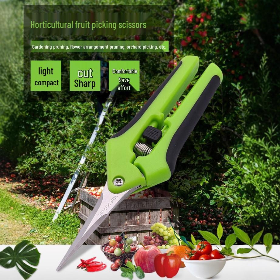 Stainless Steel Straight Head Pruning Shears for Flowers, Branches, and Fruit Trees.