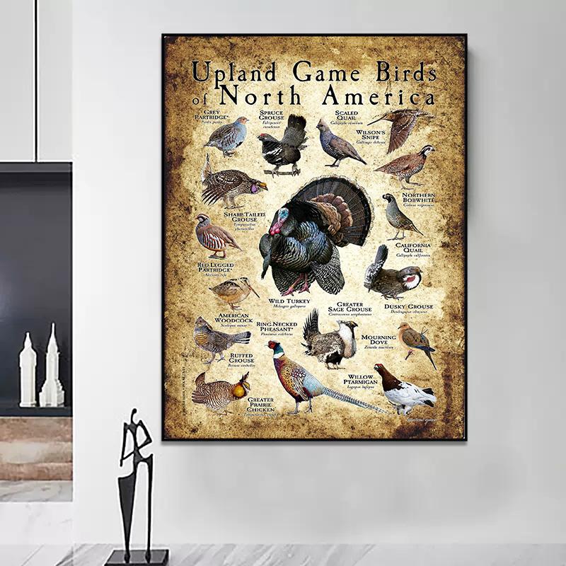 Abstrakt HD-tryck Fjäril Groda Fåglar Haj Marina Djur Collage Poster Canvas Målning Vintage Väggkonst För Barn Sovrum Heminredning