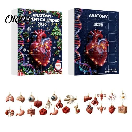 Kreativní vědecká dekorace 2026 Anatomický adventní kalendář, 24denní sada ozdob na tělesné orgány, Realistické lidské anatomické dekorace k zavěšení na Vánoce