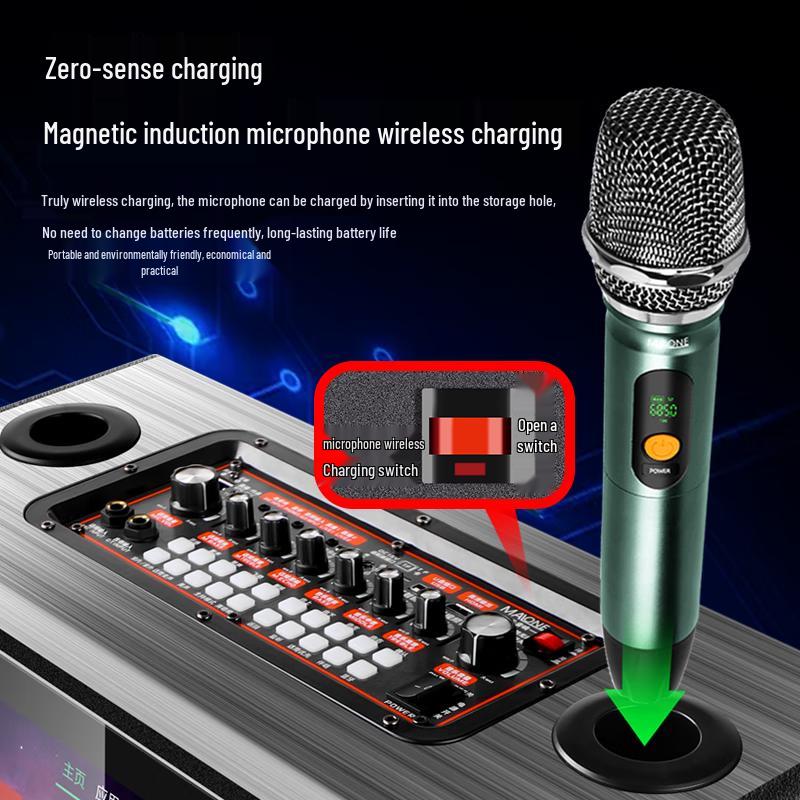 MALONE KT-115 Portable KTV Speaker System