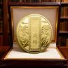 Souvenir Coin Horse Decorative Creative Keepsake Challenge Coin Keepsake For Birthday Display Collecting Hobby Holiday