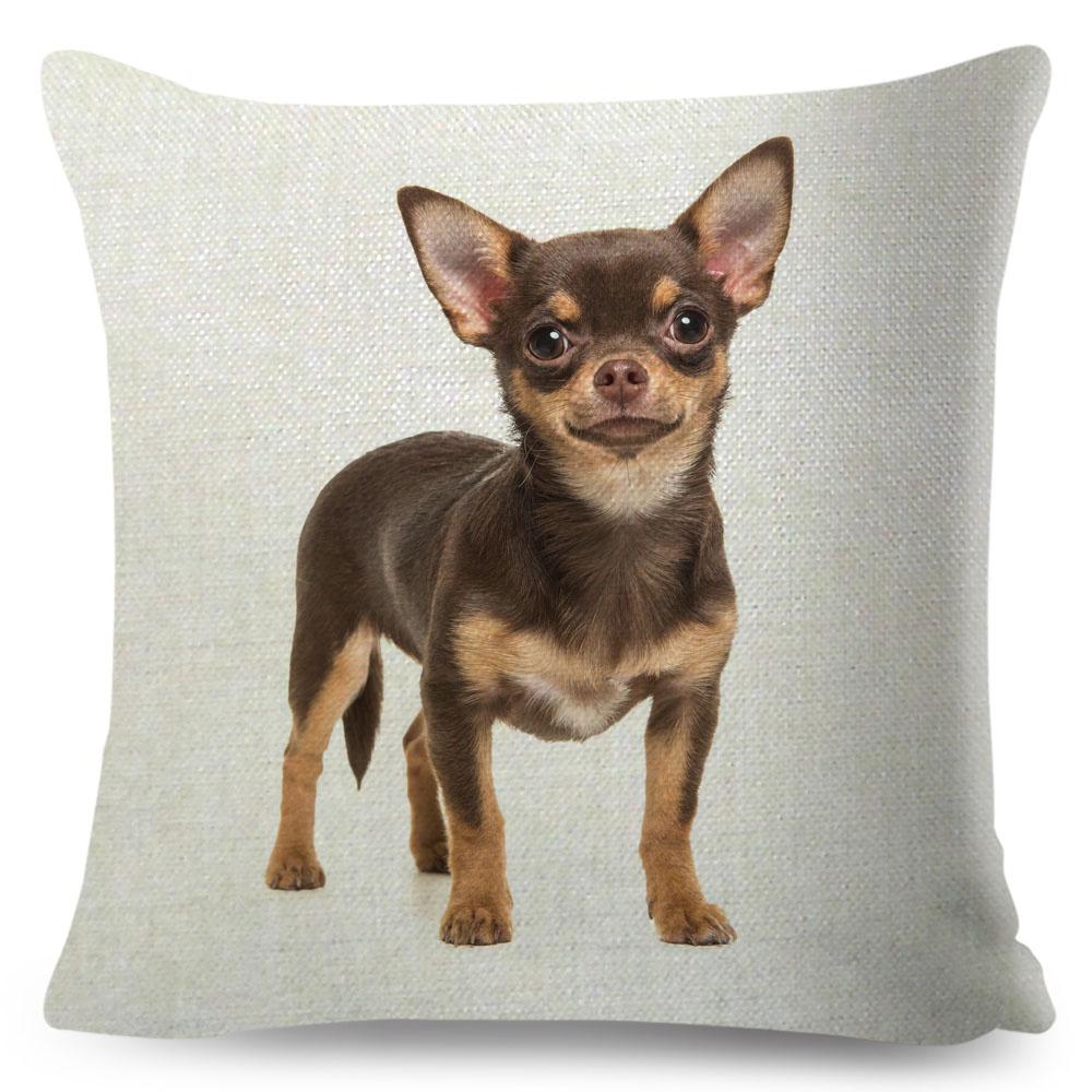 Cute Little Dog Chihuahua Cushion Cover Decor Lovely Pet Animal Pillowcase Polyester Throw Pillow Case for Sofa Home Car 45x45cm