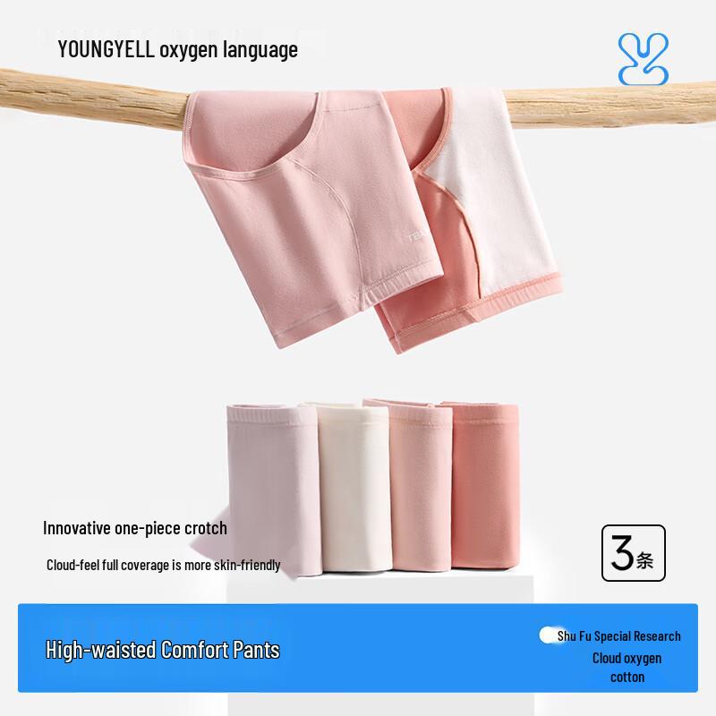 YOUNGYELL Women s High-Waist Antibacterial Cotton Briefs 3-Pack 2XL (150-170 lbs)