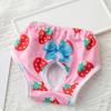 Reusable Female Pet Diaper Shorts for Small Dogs Prevent Harassment Puppy Dog Physiological Pants Chihuahua Maltese Underwear