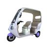 Electric Canopy Tricycle: Family Commuter & Child Transport